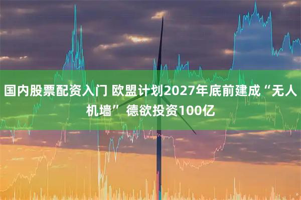 国内股票配资入门 欧盟计划2027年底前建成“无人机墙” 德欲投资100亿