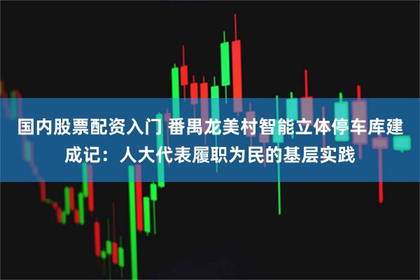 国内股票配资入门 番禺龙美村智能立体停车库建成记：人大代表履职为民的基层实践